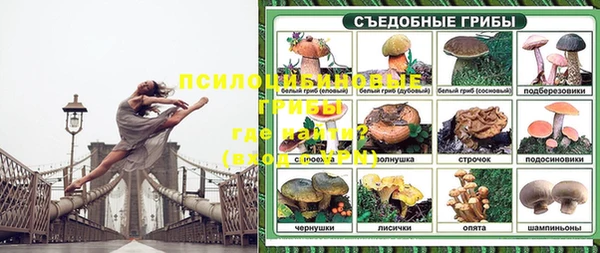 MESCALINE Верея